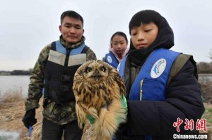 山东青岛：守护湿地迎“国际志愿者日”