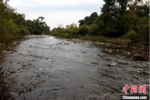 中国科研人员在缅甸发现条鳅科鱼类新种葡萄副棘鳅