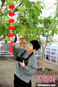 （新春走基层）边城呼玛“别样”春节：室外极寒刺骨 室内花开绚烂