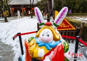 北京迎兔年首场降雪 北风渐起寒意重