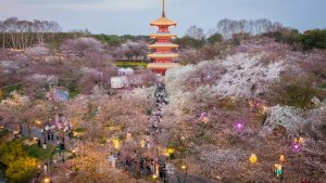 “特种兵式旅游”？男子一天狂刷7大景点，次日准时上班