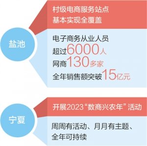 数字赋能激发产业活力，宁夏盐池—— 数商兴农助力乡村蝶变