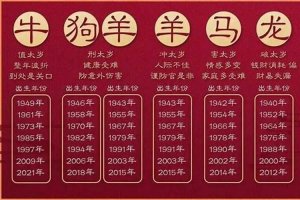 2023年属马女犯太岁怎么办