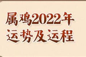 2023年属鸡人的全年运势(属鸡的今年财运怎么样事业方面)