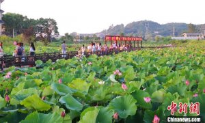 “千年打卡地”湖南永州打造“文旅名城” 再现“永州八景”