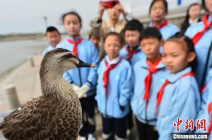 山东青岛：第42届爱鸟周启动