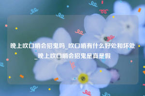 晚上吹口哨会招鬼吗_吹口哨有什么好处和坏处_晚上吹口哨会招鬼是真是