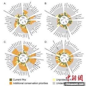 如何实现联合国“昆蒙框架”目标？中国团队最新研究建言献策