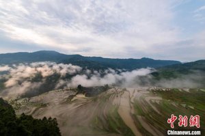 贵州从江：初夏梯田景如画