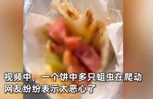 顾客买肉饼咬下去发现全是活蛆，商家：赔偿10元，网友怒了