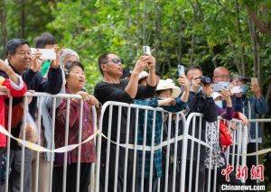 河南三门峡：“黄河船奇”扬帆竞技