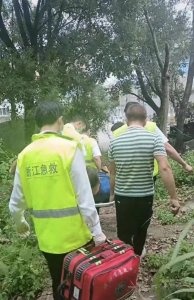 温州一周4起摘杨梅坠树警情，其中2人心跳呼吸停止