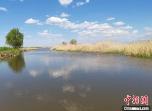 实拍初夏新疆青格达湖自然保护区湿地风光