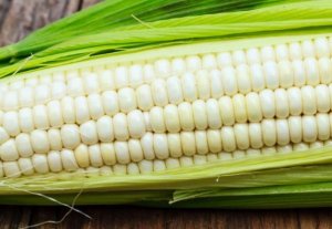 空腹可以吃玉米吗 淀粉维生素增加饱腹感减肥