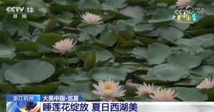 夏日风光无限美 航拍中国感受大江南北的勃勃生机