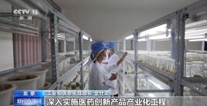 我国在研新药数量跃居全球第二！正加快构建现代医药工业体系