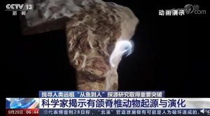 女科学家把3cm鱼骨切了500多片 研究证明人类起源于鱼